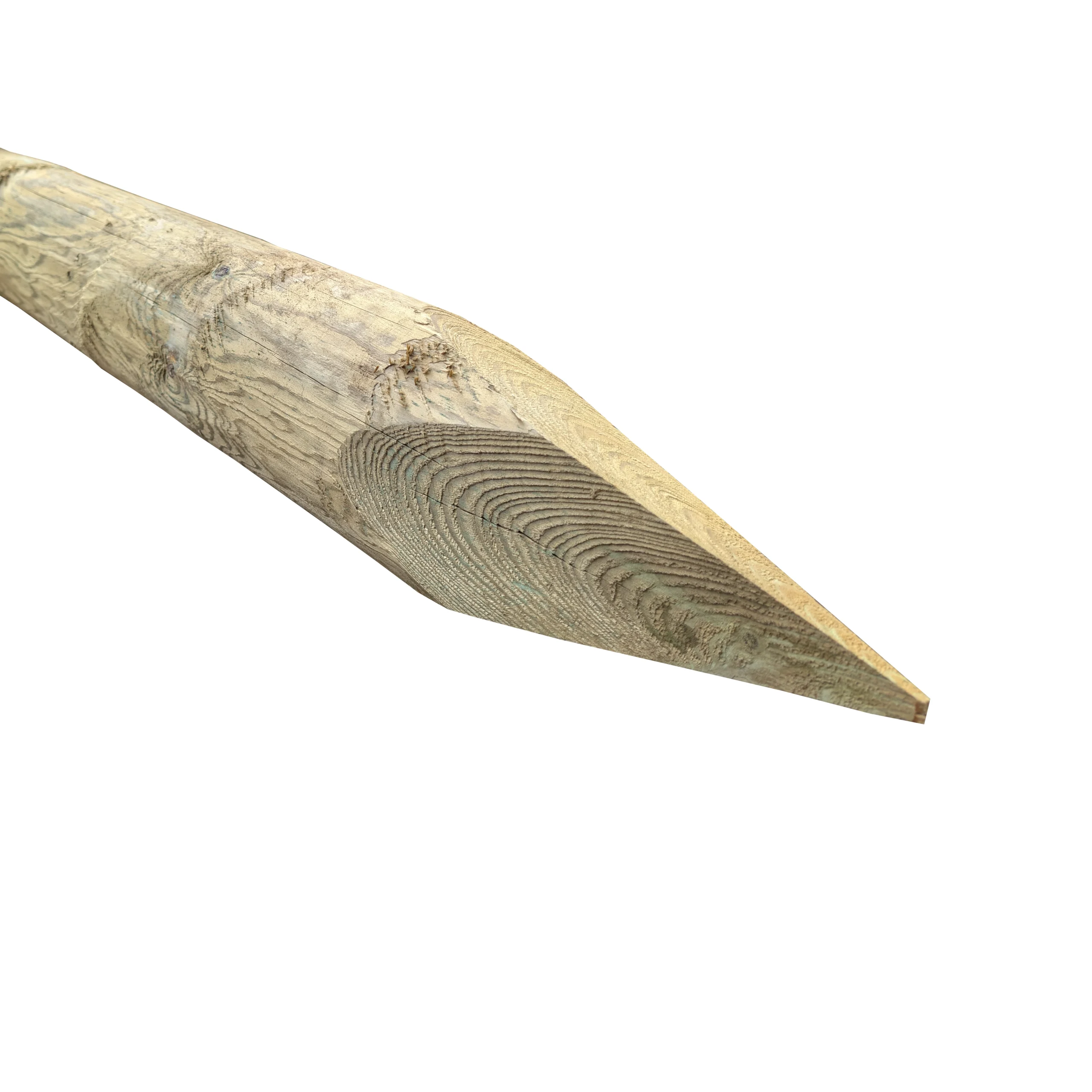 Peeled strainer post, pointed end.