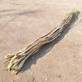 Bundle (20) Hazel Binders