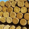 4 inch round poles, pressure treated green, in a neat pile.