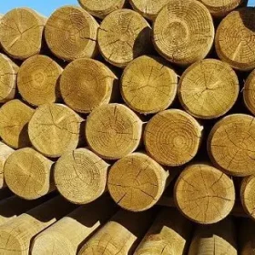 4 inch round poles, pressure treated green, in a neat pile.