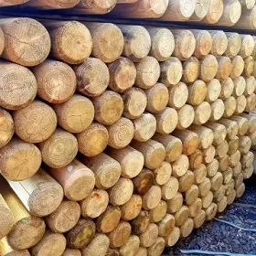 a neat stack of 75mm round poles, pressure treated green.