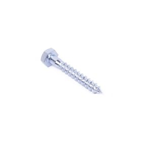 Coach Screw M10