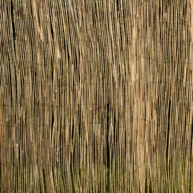 A close up view of some reed screening in a garden.
