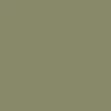 Olive Grey (RAL 7002 Green)