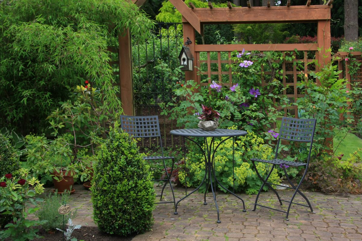 plants and trellis creating privacy in a seating area