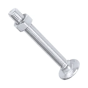 The end side of an M12 Coach Bolt with an M12 nut screwed on against a white background