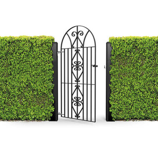 metal garden gate in between two green hedges.