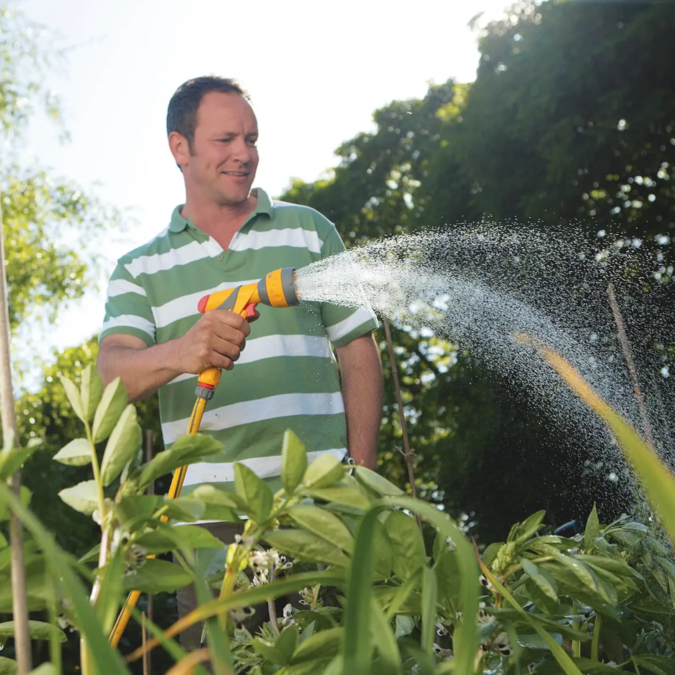 The Hozelock Multi Spray Plus being used to water some bushes in a garden