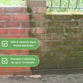 Before and after image of brick wall treated with algae remover, showing dramatic removal of algae, mould and lichen with up to 12 months of protection.