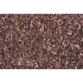 play bark, close up image, light brown