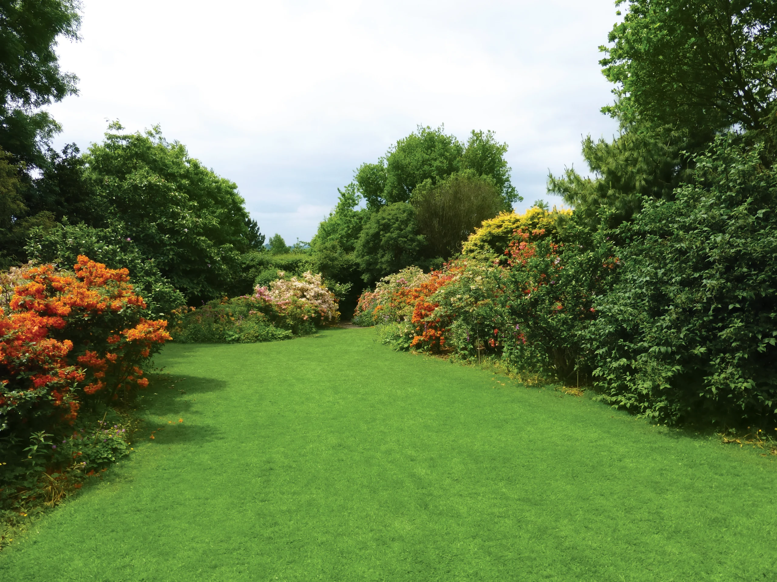 PM51 Greenscape Hard Wearing Grass Seed 5kg - Image 3