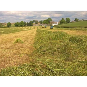 Landmark Extreme Ley Pasture Grass Seed 20kg - Image 4