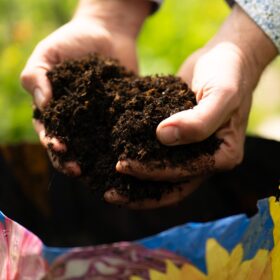 RocketGro Peat Free Multi Purpose Compost 50L - Image 3